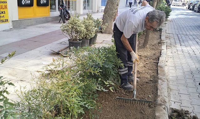 Şehzadeler'de parklar dört mevsim bakımlı tutuluyor