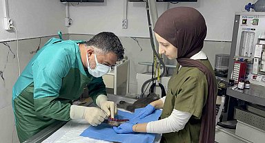 Sekizinci kattan düşerek bacakları kırılan kedi, başarılı operasyon sayesinde 4 günde yürümeye başladı