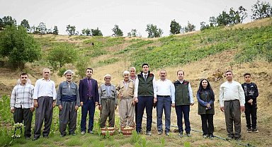 Şemdinli'de üzüm hasadı başladı