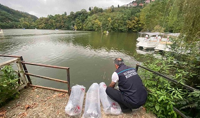 Sera Gölü'ne 40 bin sazan yavrusu bırakıldı