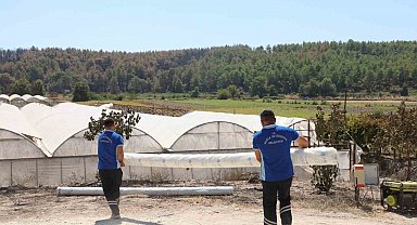 Seydikemer'de yangının yaraları bir günde sarılmaya başlandı
