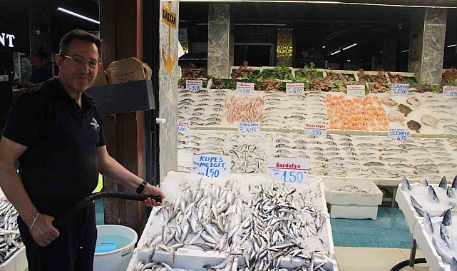 Sezon başladı, balık tezgahları şenlendi