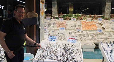 Sezon başladı, balık tezgahları şenlendi