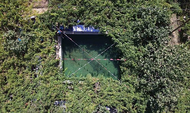 Siirt'te tayfi üzümü hasadı başladı: Yaprakları Avusturya'ya ihraç ediliyor