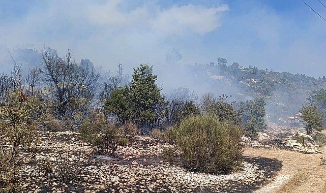 Silifke'deki yangın evlere ulaşmadan kontrol altına alındı
