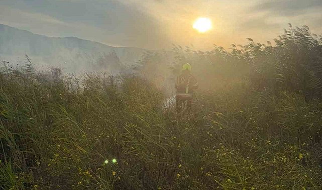 Sındırgı'da otluk alanda yangın