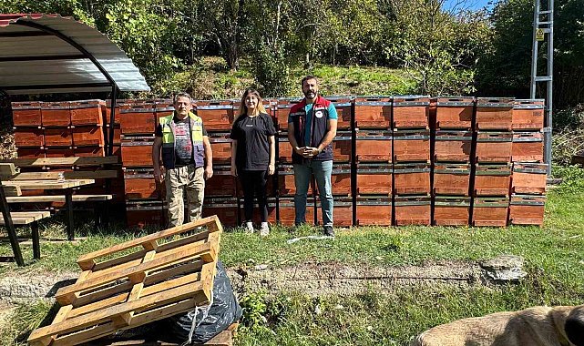 Sinop'ta kadın arıcıya 774 bin TL hibe desteği