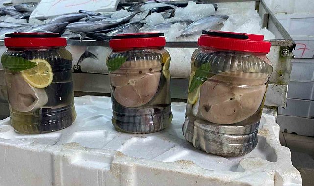 Sinop'ta lakerda hazırlığı: Balıkçılar 'kestane karası'nı beklemeden tuzluyor