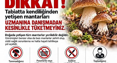 Sinop'ta mantar toplayıcılarına uyarı
