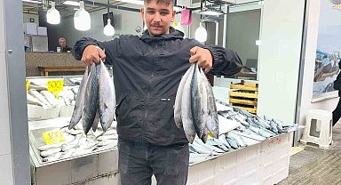 Sinop'ta palamut 50 lira