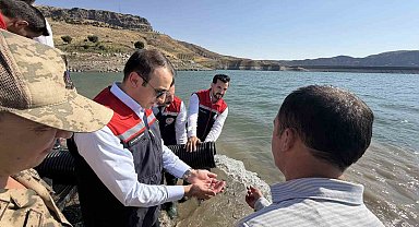 Şırnak'ta Ilısu Baraj Gölü'ne 800 bin yavru şabut balığı bırakıldı