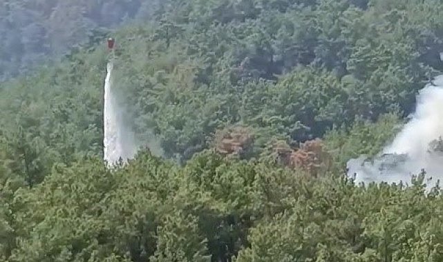 Soğutma çalışmalarının sürdüğü ormanlık alanda yeniden yangın çıktı