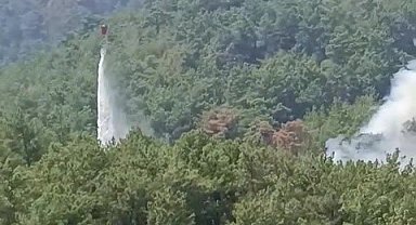 Soğutma çalışmalarının sürdüğü ormanlık alanda yeniden yangın çıktı