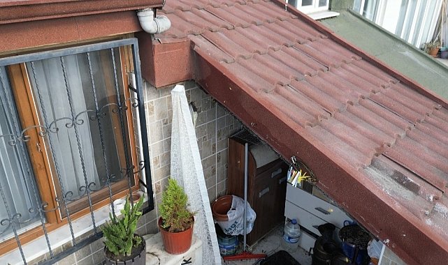 Sultangazi'de çatı katını arılar bastı: Arıların soktuğu kadın hastanelik oldu