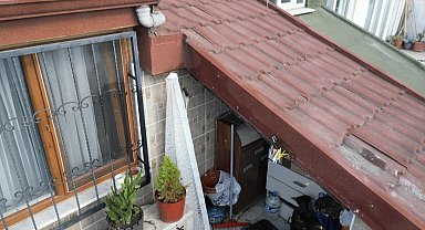 Sultangazi'de çatı katını arılar bastı: Arıların soktuğu kadın hastanelik oldu