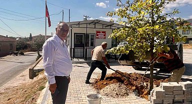 Sultanhisar'da ağaçlandırma çalışmaları sürüyor