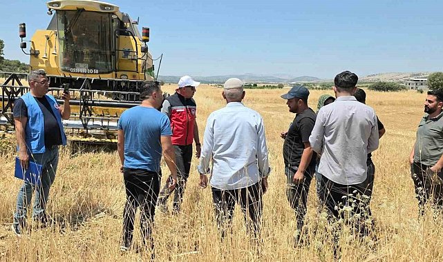 TAKEP kapsamında yüzde 75 hibe ile mercimek tohumuna müracaatlar başladı
