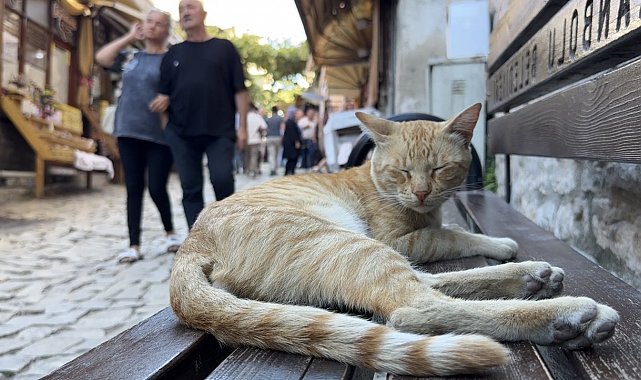 Tarihi sokaklarda hafta sonu hareketliliği