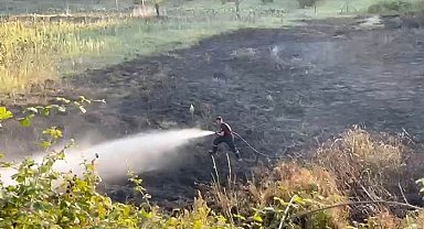 Tarlada yakılan ateş otluk alana sıçradı: 4 dönüm alan zarar gördü