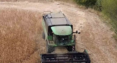 Tavşanlı'da aspir hasadı devam ediyor