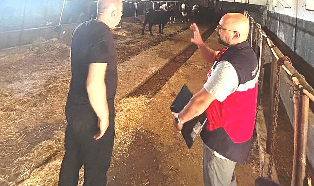 Tavşanlı'da Destek Projesi kapsamındaki ithal hayvanlar kontrolden geçirildi