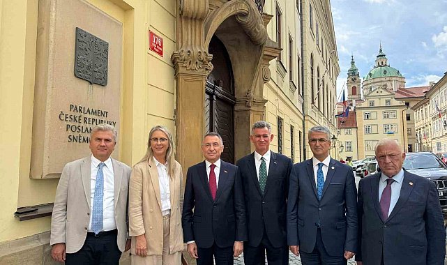 TBMM Dışişleri Komisyonu Başkanı Oktay'dan Çekya'ya Gazze çağrısı