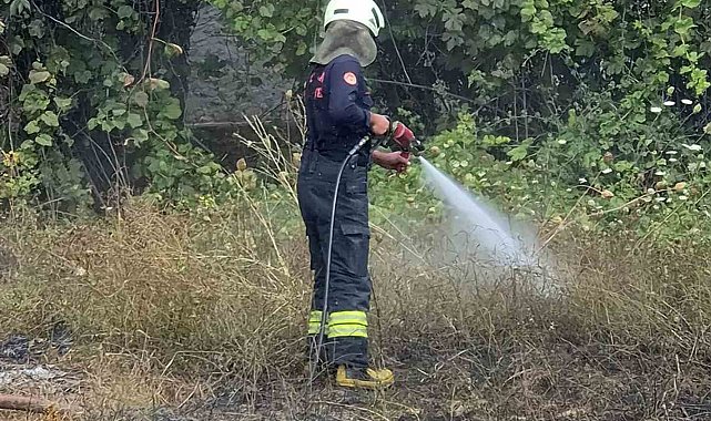 Temizlik ateşi yangına neden oldu