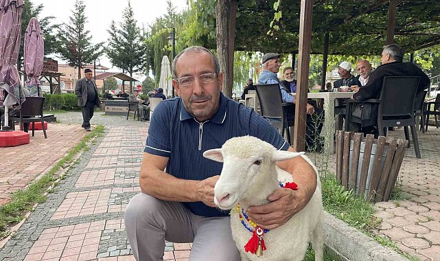 Tertip, Kavaklıların gözbebeği oldu