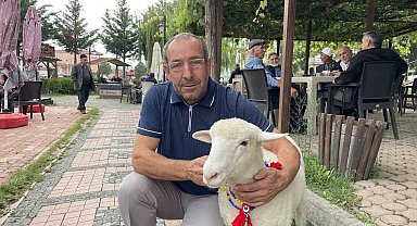 Tertip, Kavaklıların gözbebeği oldu