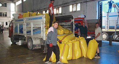 TMO'da fındık yoğunluğu