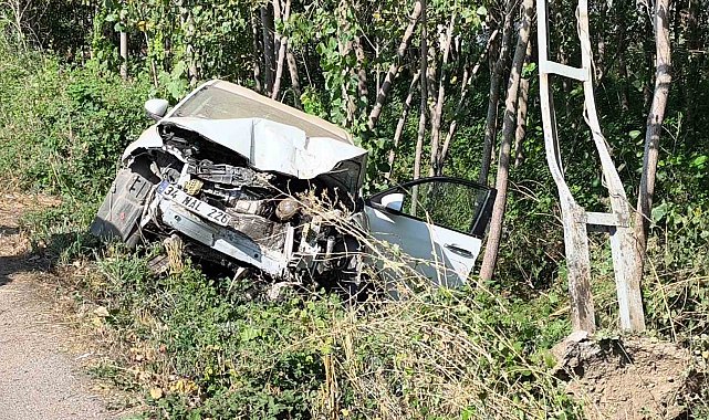 Tokat'ta otomobil elektrik direğine çarptı: 1 ölü, 1 yaralı