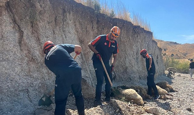 Toprak kaymasında 6 küçükbaş hayvan telef oldu