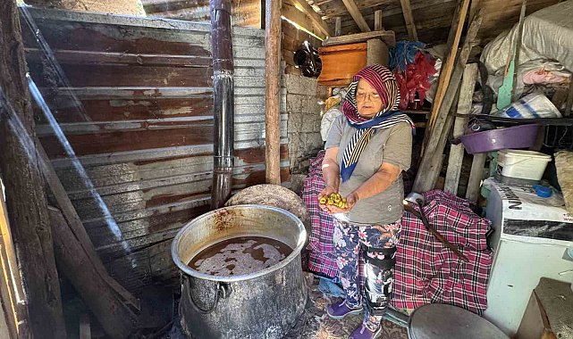 Torosların taş eriği sofralara iniyor 10 kilo erikten 1 kilo ekşi çıkıyor kilogramı 500 liradan satılıyor