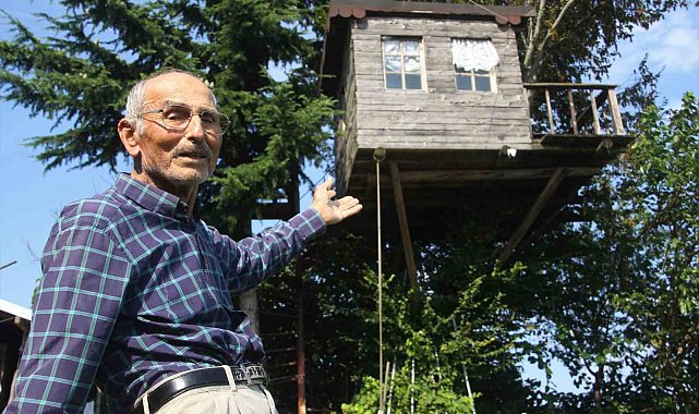 Torunu istedi, dedesi yaptı: 90 yıllık meşe ağacının tepesine ev kurdu