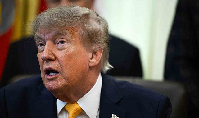 Trump'tan Almanya'daki aşırı sağcı AfD'ye övgü