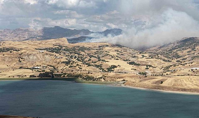 Tunceli'de kırsal alan yangını: Müdahale sürüyor