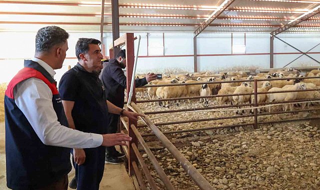 Tunceli'de kırsal kalkınma destekleri üreticiye güç veriyor