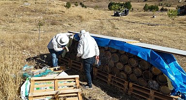 Tunceli'de yüzyıllık arıcılık geleneği yaşatılıyor