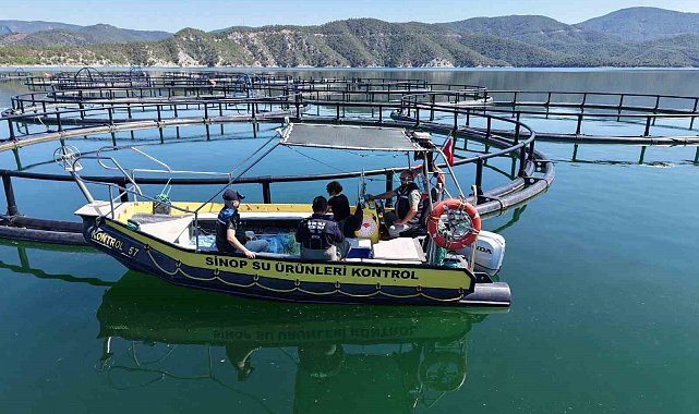 Türk somonu üretim alanları denetlendi