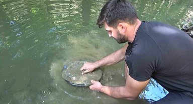 Türkiye'de altın çok arayan yok...Derelerde her gün 5 gram altın çıkarıyorlar