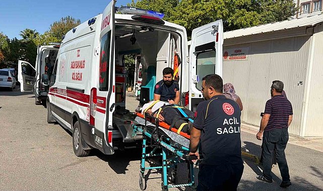 Tütün işçilerini taşıyan minibüs devrildi: 12 yaralı