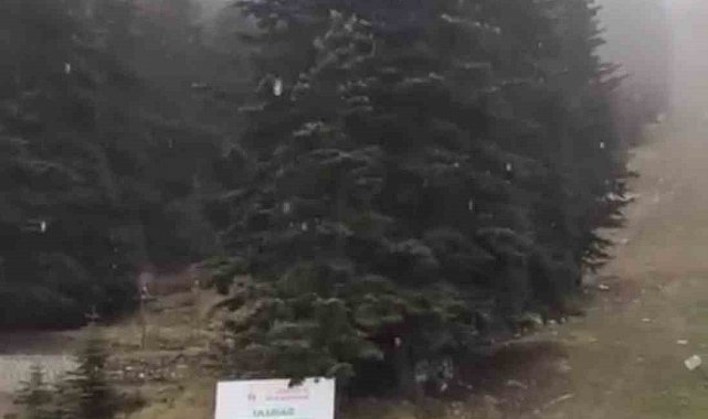 Uludağ'a sezonun ilk karı yağdı