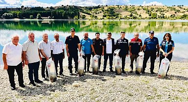 Uluköy Barajı'na 75 bin sazan yavrusu bırakıldı