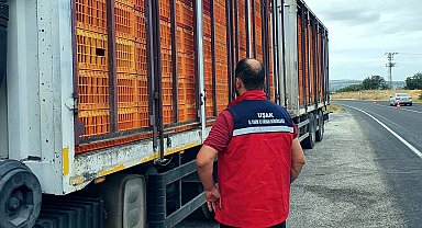 Uşak'ta hayvan hastalıklarına karşı yol kontrol ve denetimler aralıksız devam ediyor