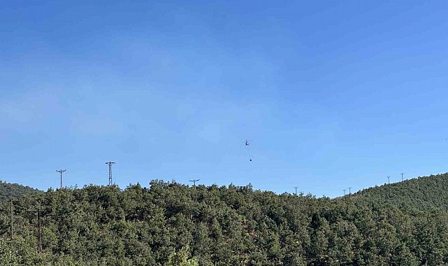 Uşak'ta meşelik alanda çıkan yangın kontrol altına alındı