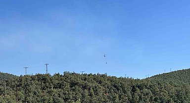 Uşak'ta meşelik alanda çıkan yangın kontrol altına alındı
