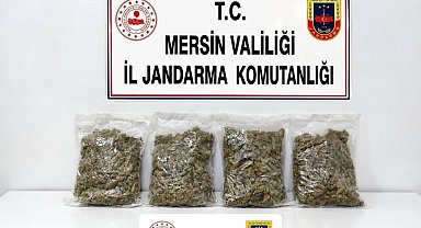 Uyuşturucu taciri 2 kilo 100 gram esrarla yakalandı