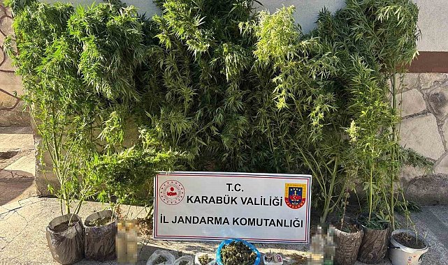 Uyuşturucu ve kaçakçılık operasyonu: 3 kişi gözaltına alındı