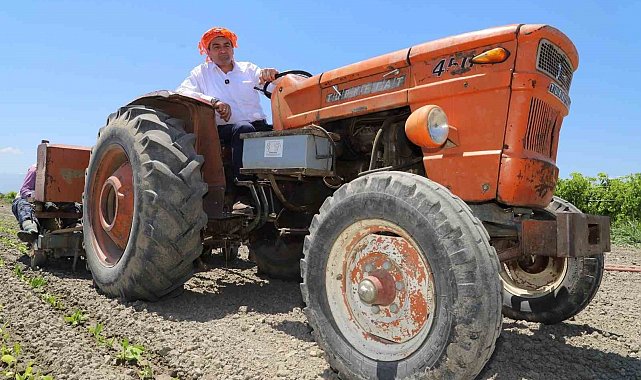 Üzüm hasadında eline makineye kaptıran Saruhanlı Belediye Başkanı yaralandı