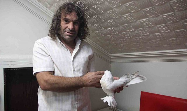 Uzun yol şoförünün sıradışı güvercin sevdası: 6 güvercininin toplam değeri 700 bin TL